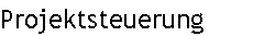 Projektsteuerung